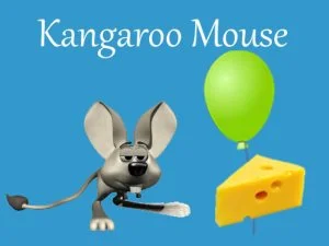 Kangaroo Mouse